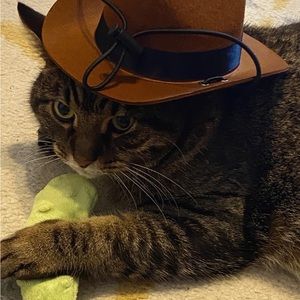 Meet your Posher, Cami